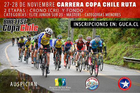 Copa Chile Ruta - Valdivia